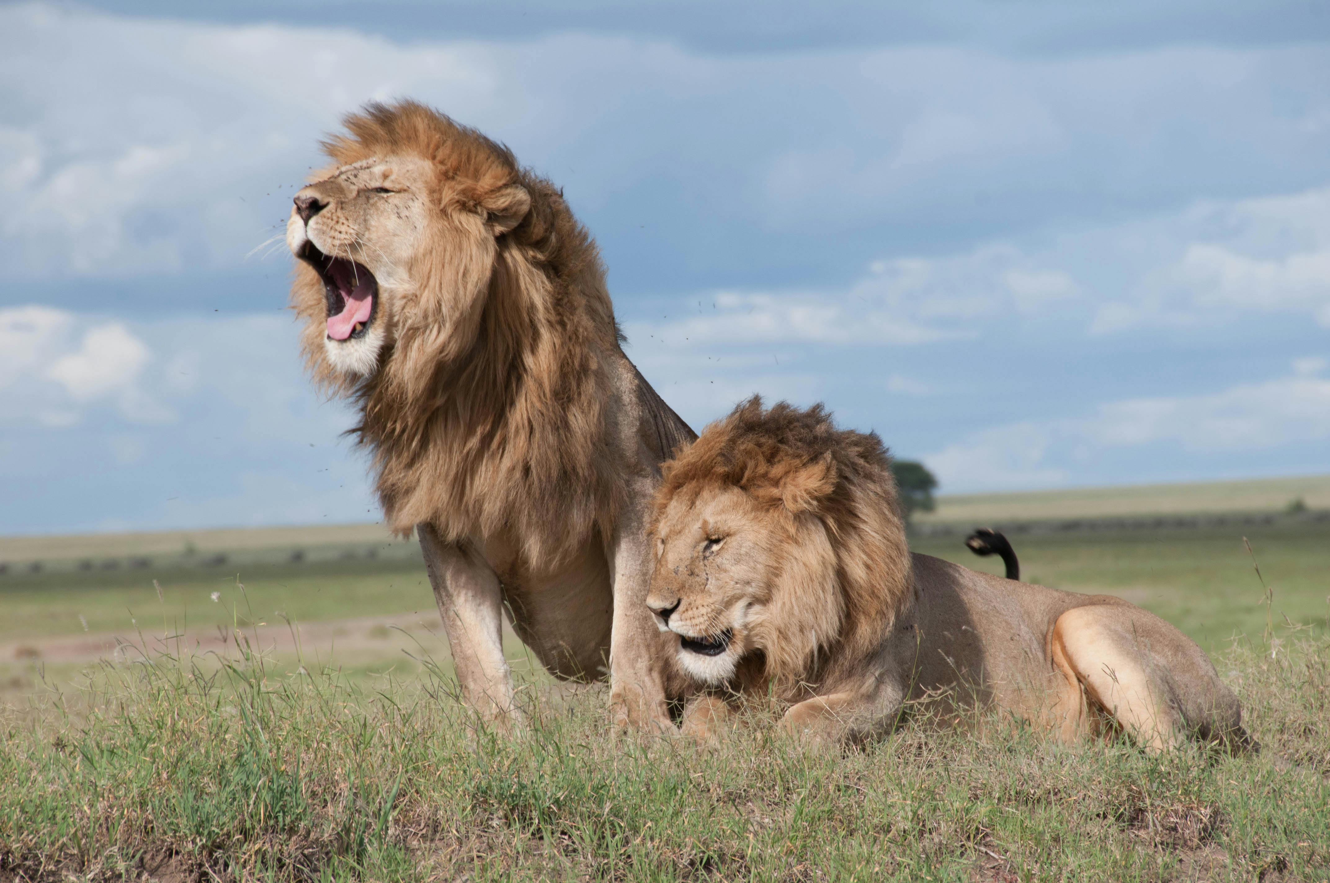 Generations Safaris Hero